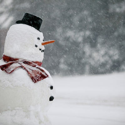 snowman in a winter storm