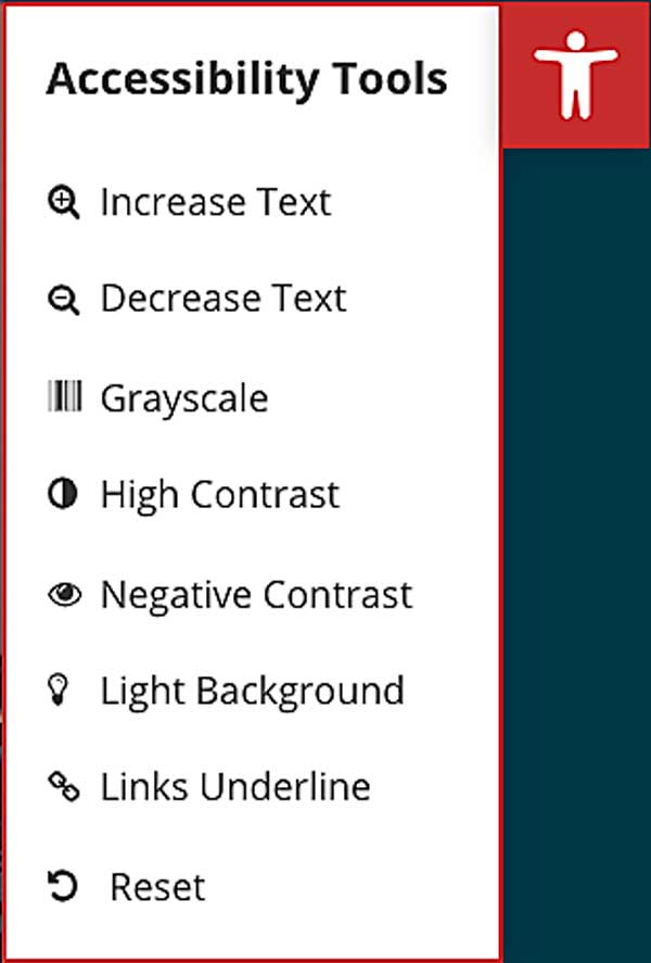 New Future In Sight site; Highlights & Accessibility Features