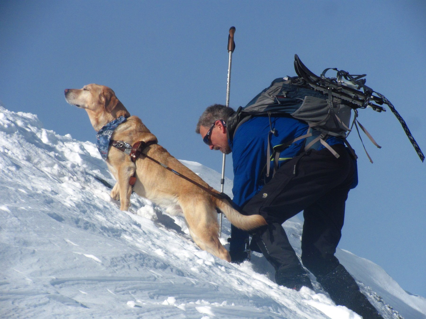 Randy Pierce climbing a snow covered mountain with his guide dog