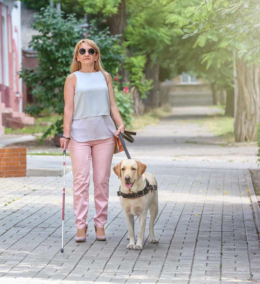 Blind Woman walking with her service dog and cane