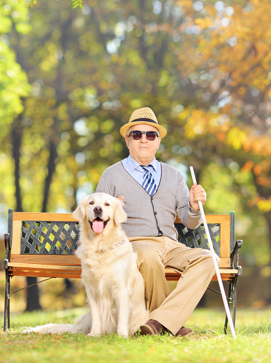 Senior blind man sitting on a wooden bench with his dog