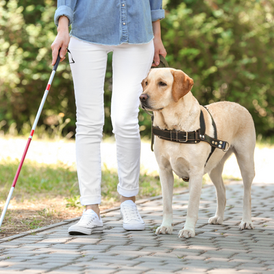 woman with a guide dog