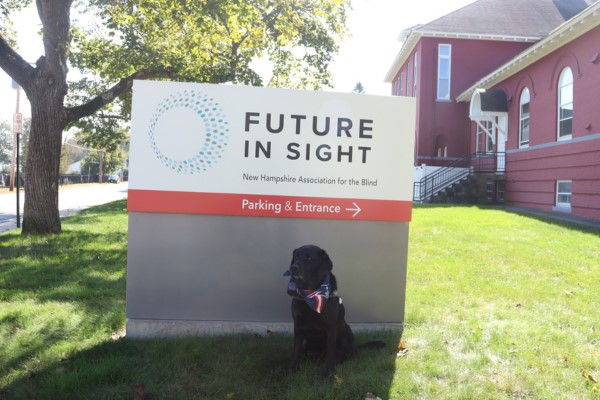 Swirl in front of the Future In Sight sign