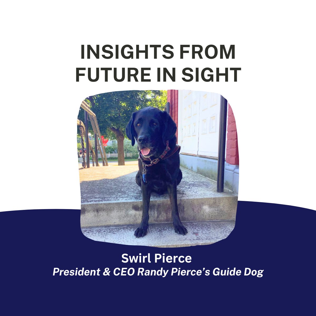 Swirl Pierce - Insights from Future In Sight graphic