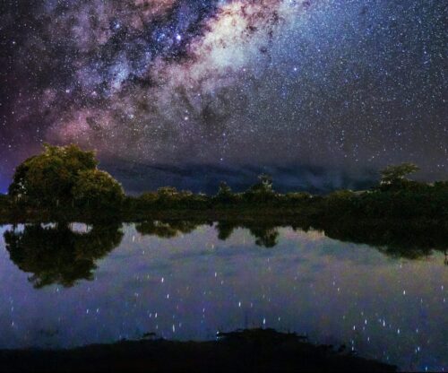 Trees along a lake with a glittering night sky above.