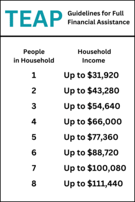 TEAP guidelines for full financial assistance.