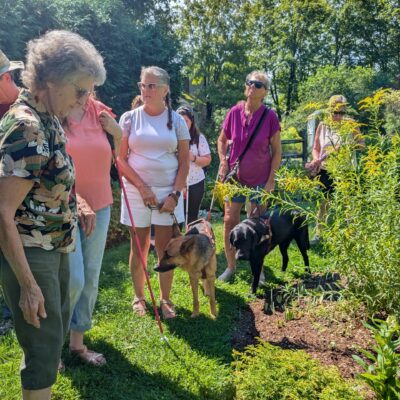A group of people with guide dogs gather around plants in a garden.